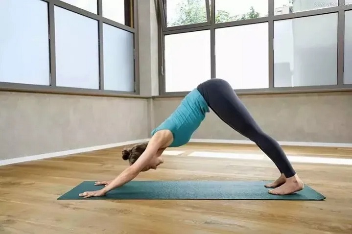 Yoga Pose du chien vers le bas